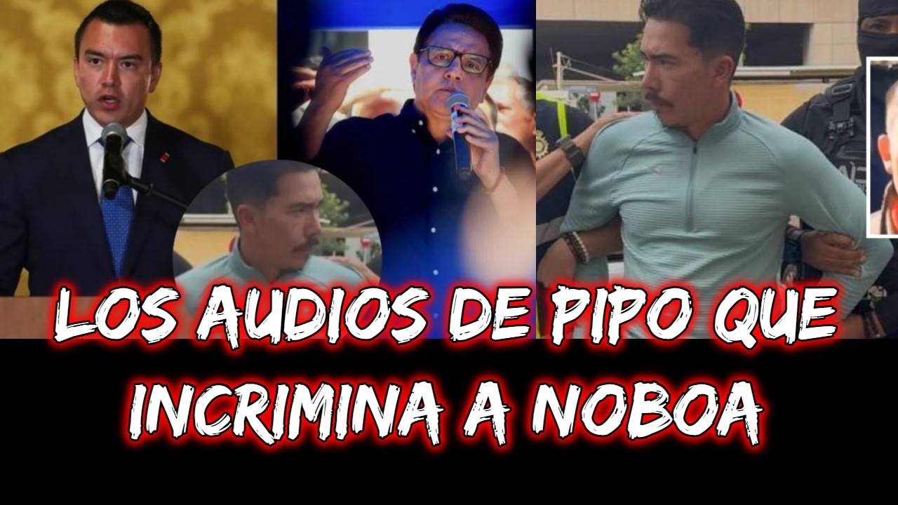 Los audios de Pipo que incrimina a Noboa