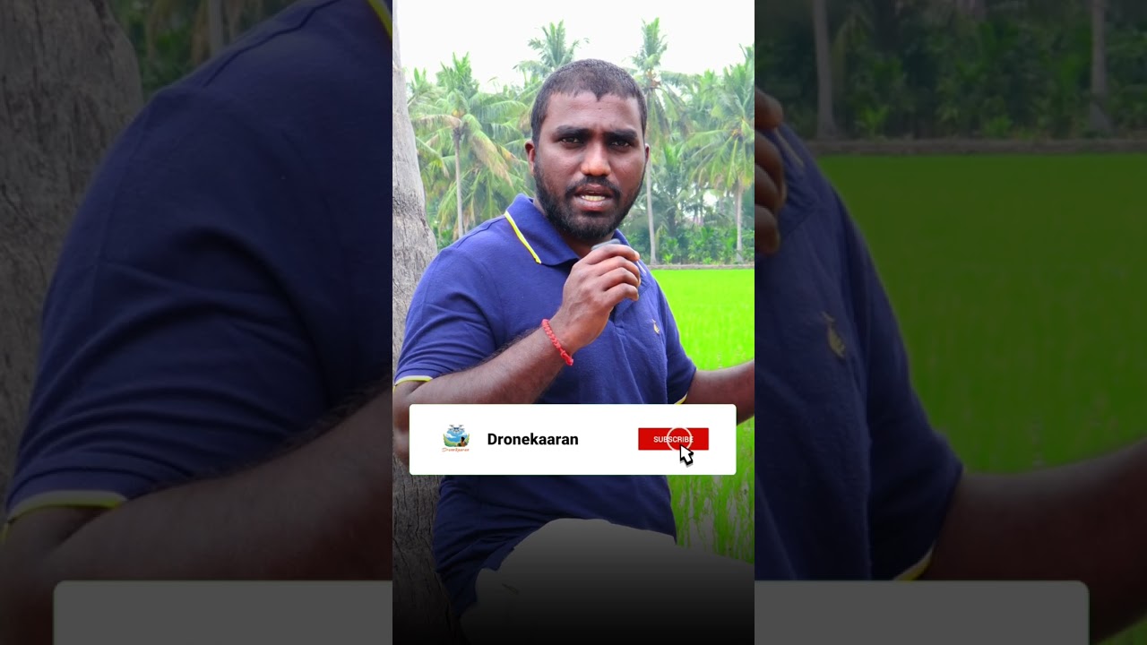 How to Fix Broken Soil Before Your Next Rice Crop Fails #dronekaaran #tamil #agriculture #shorts