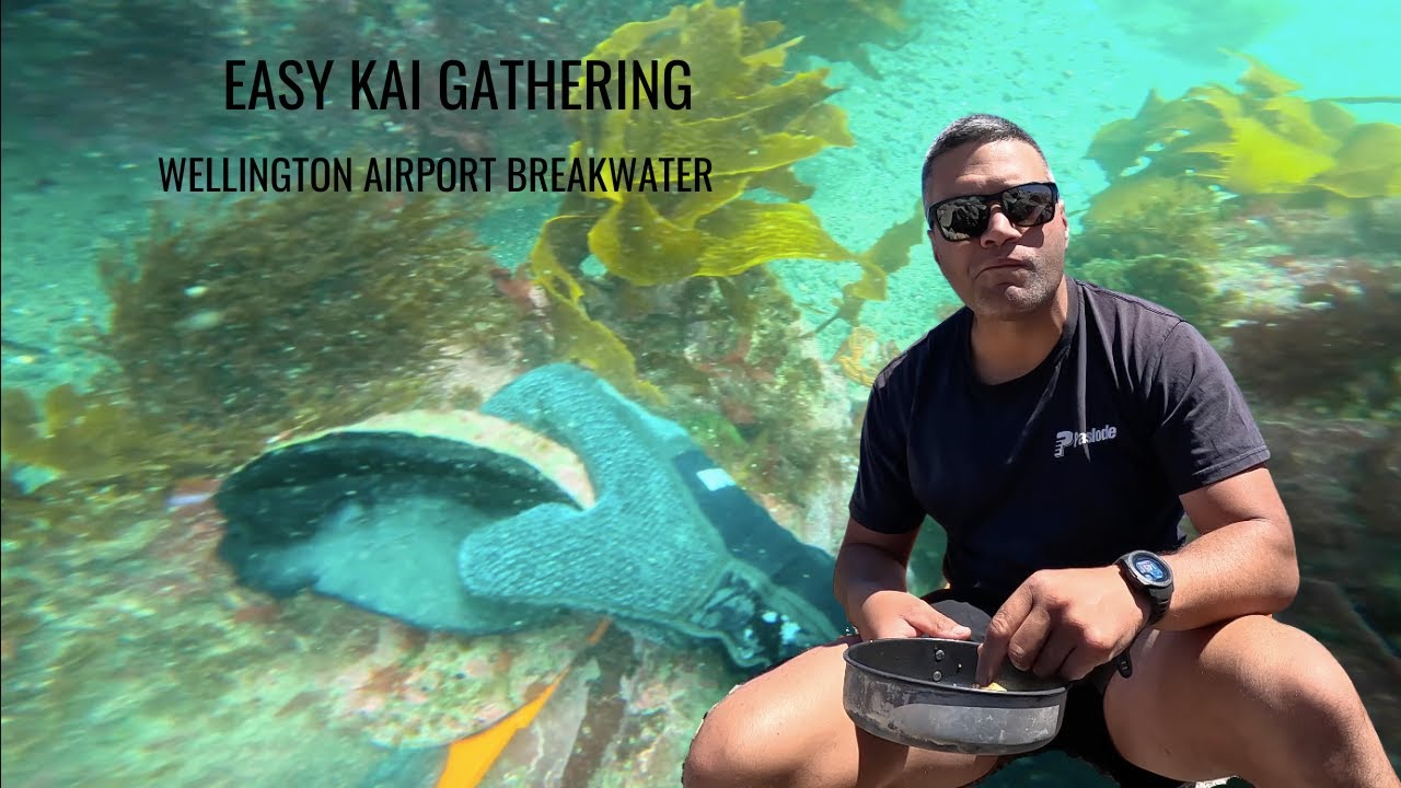 EASIEST PLACE TO GET PAUA IN WELLINGTON!
