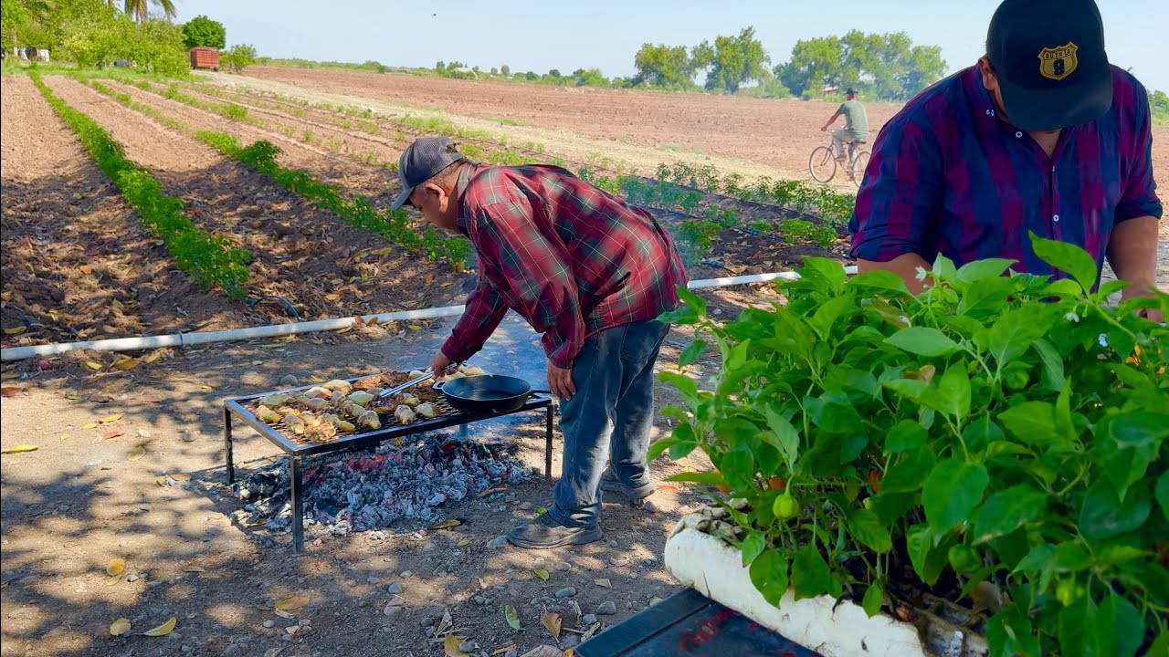 POLLO ASADO CON EL TOQUE PICOSO, TE VA A ENCANTAR || RUTA LA NUEVE