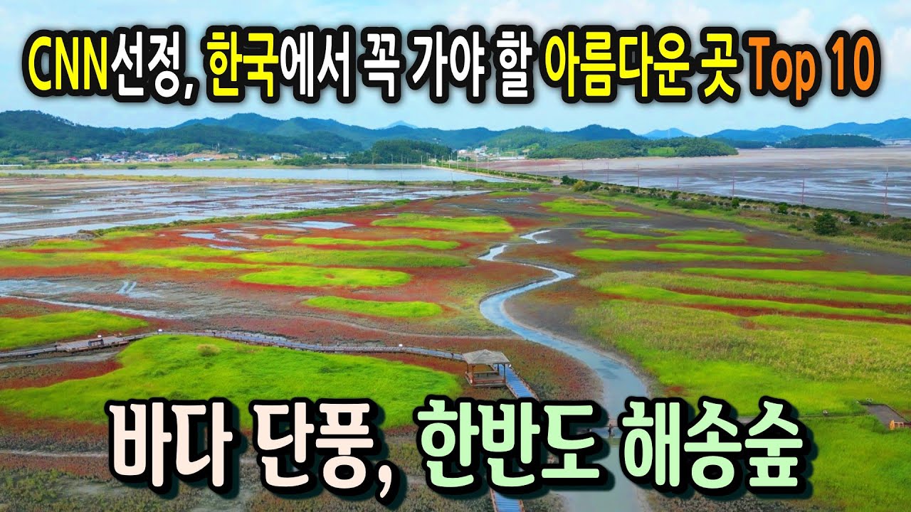 칠면초가 아름다운 계절에 떠나는 여행, 증도