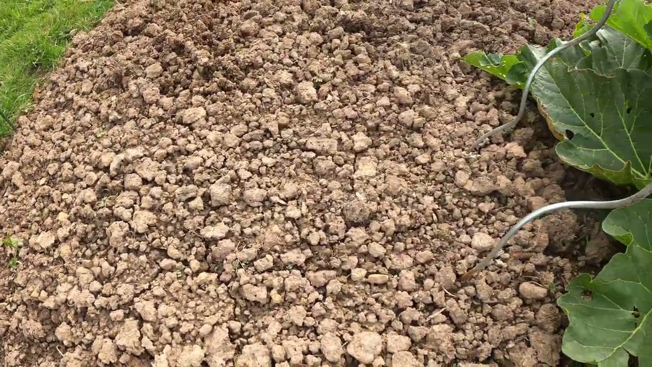 Hobbygarten 7.04.2024