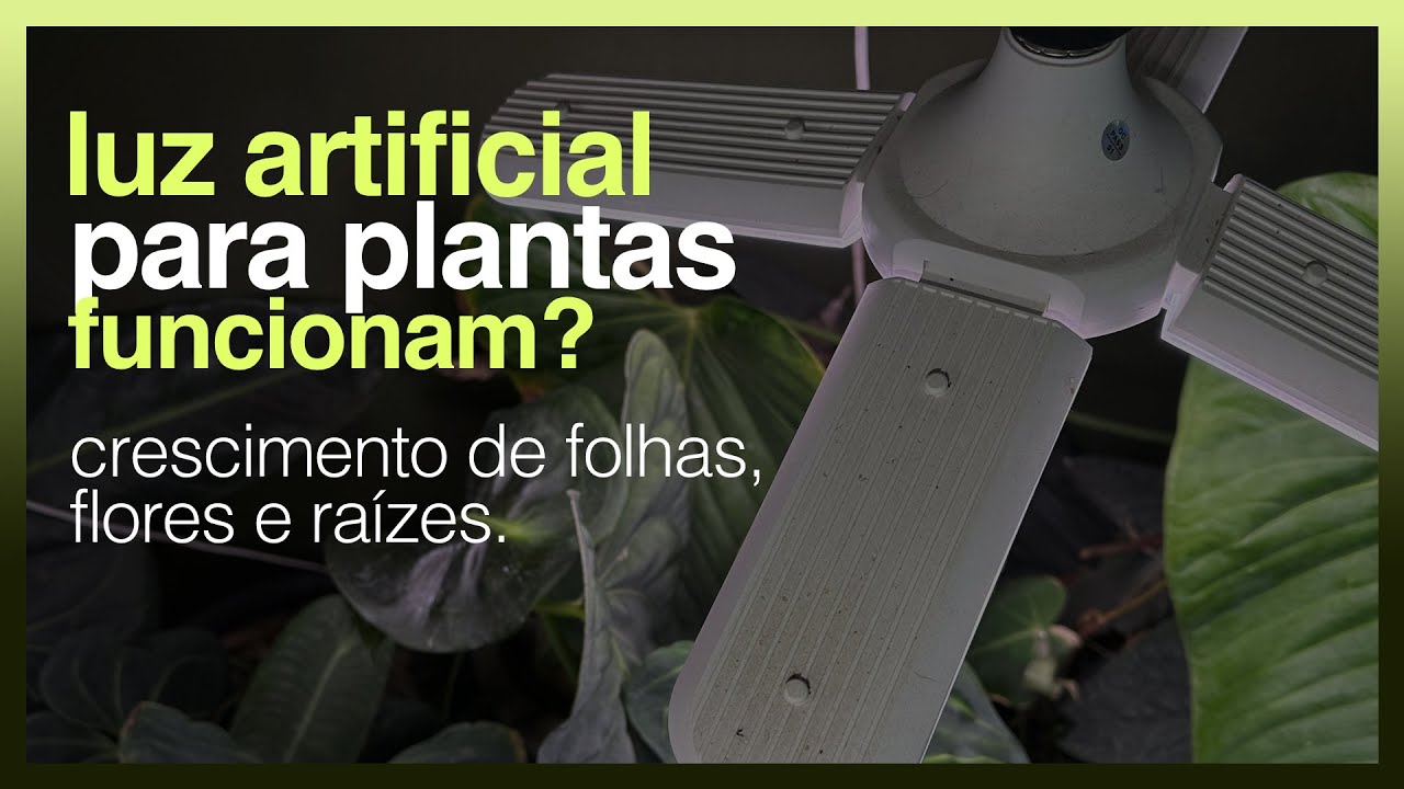 LUZ ARTIFICIAL PARA PLANTAS - Recap no JARDIM DO FLAY