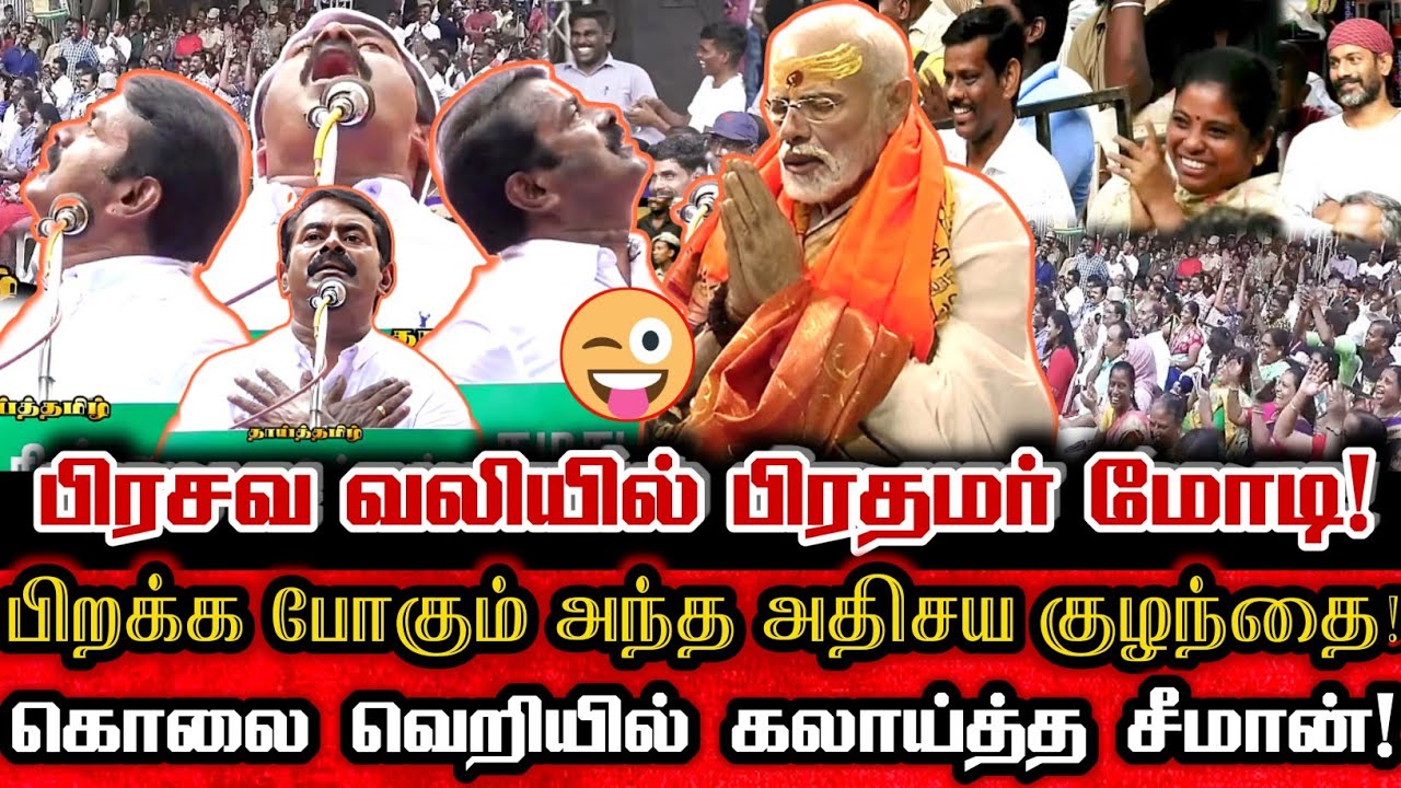 ஹிந்திகாரனே விழுந்து சிரித்த சீமானின் கொலைவெறி கலாய்! Seeman Comedy About Bjp Modi