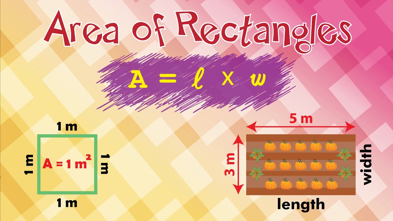 Area of a Rectangle | Learn with Solved Real-Life Examples