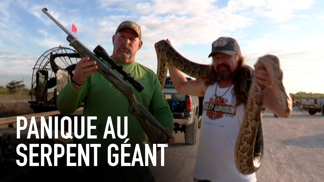Un BÉBÉ tué par un SERPENT