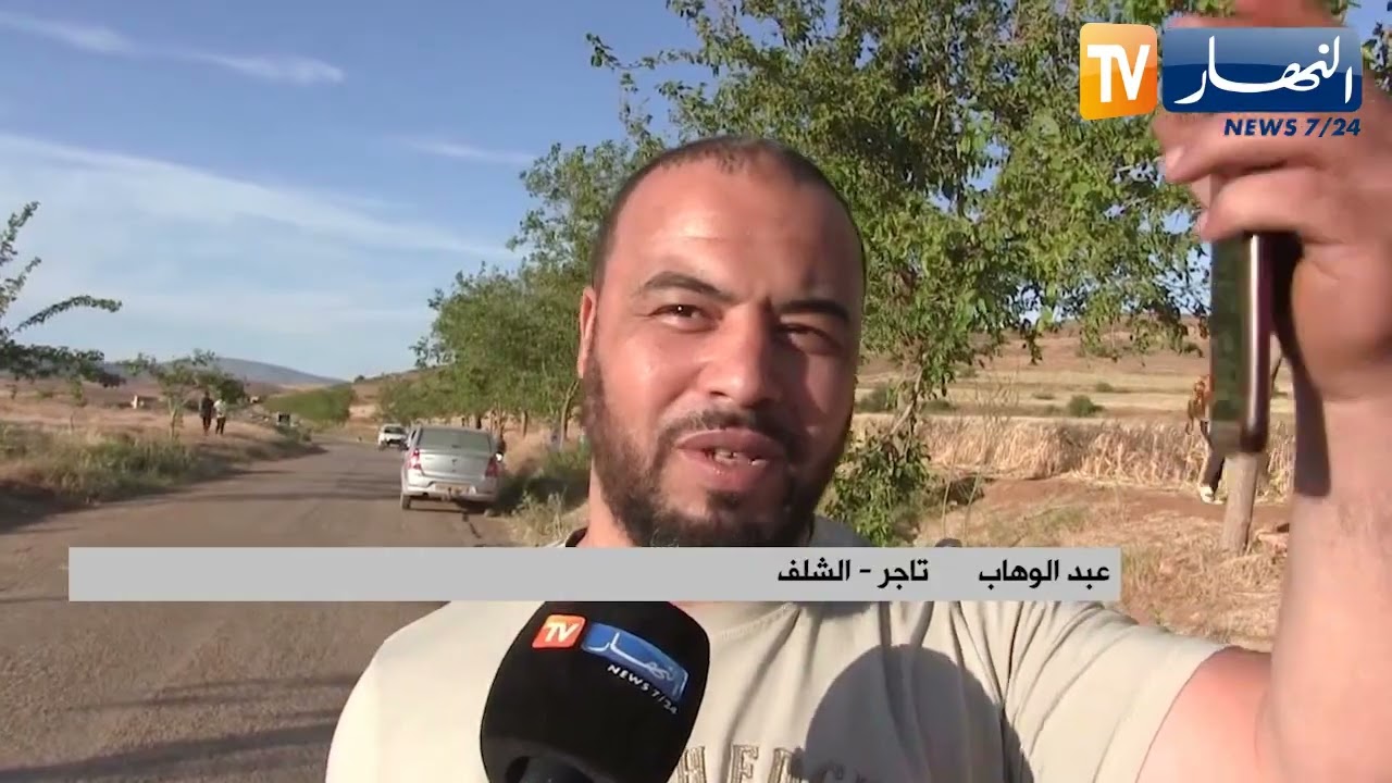 الشلف: لتذوق طعمه المتميز.. عائلات تجازف وتغامر من أجل الظفر بحبات التوت