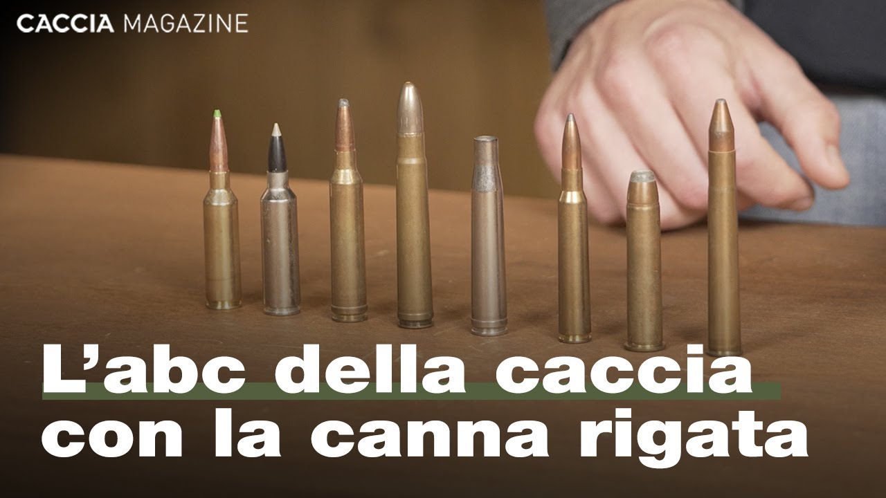 Calibri, bossoli, proiettili: cosa c’è da sapere sulle cartucce da carabina -Caccia Magazine Academy