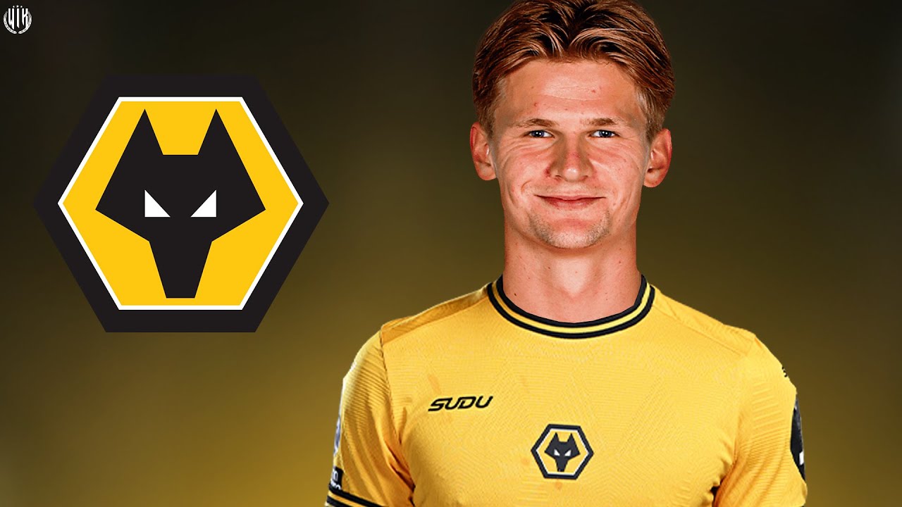 This Is Why Wolves Signed David Moller Wolfe 2025 - Skills, Tackles & Goals | HD