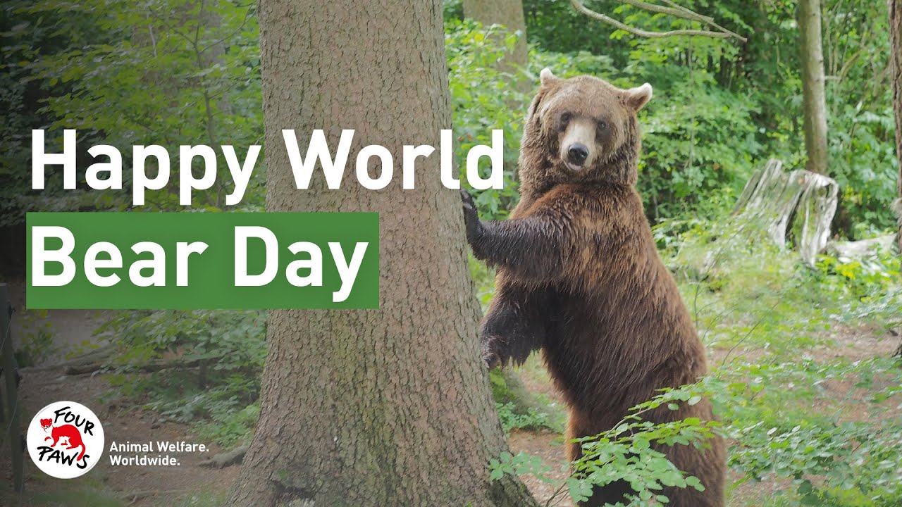 Happy World Bear Day!