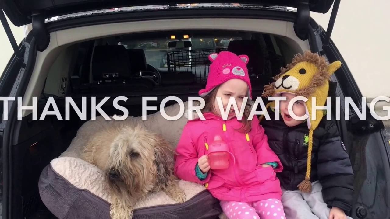 New RV ~ Maggie the Dog Meets Thor Synergy SP24 ✔
