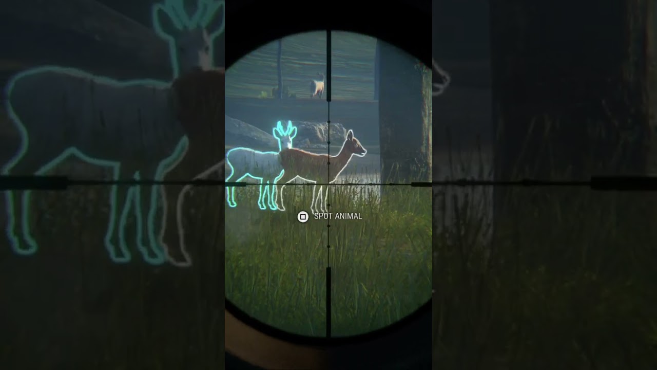 Huge ALBINO ROE DEER! TheHunter: COTW PS5