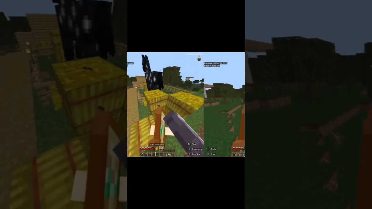 SWAMP VILLAGE