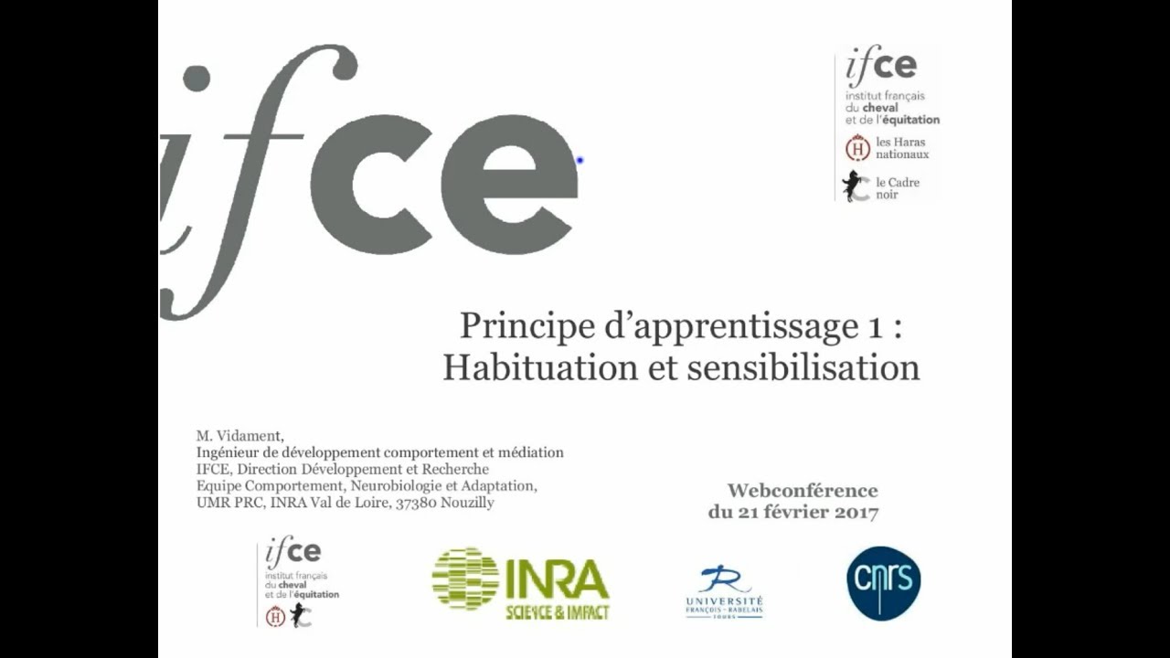 M. Vidament - Webconférence - Principe d'apprentissage 1 : habituation et sensibilisation
