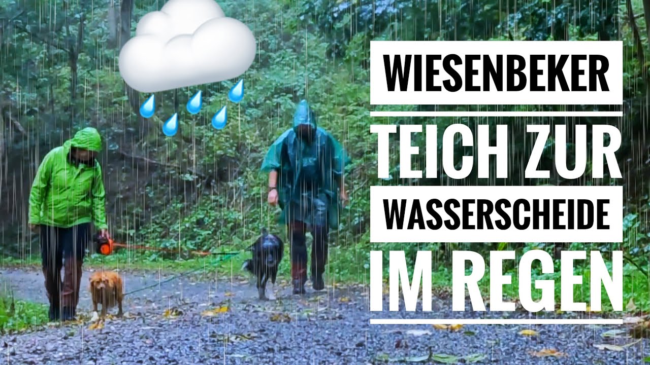 Vom Wiesenbeker Teich in Bad Lauterberg zur Wasserscheide