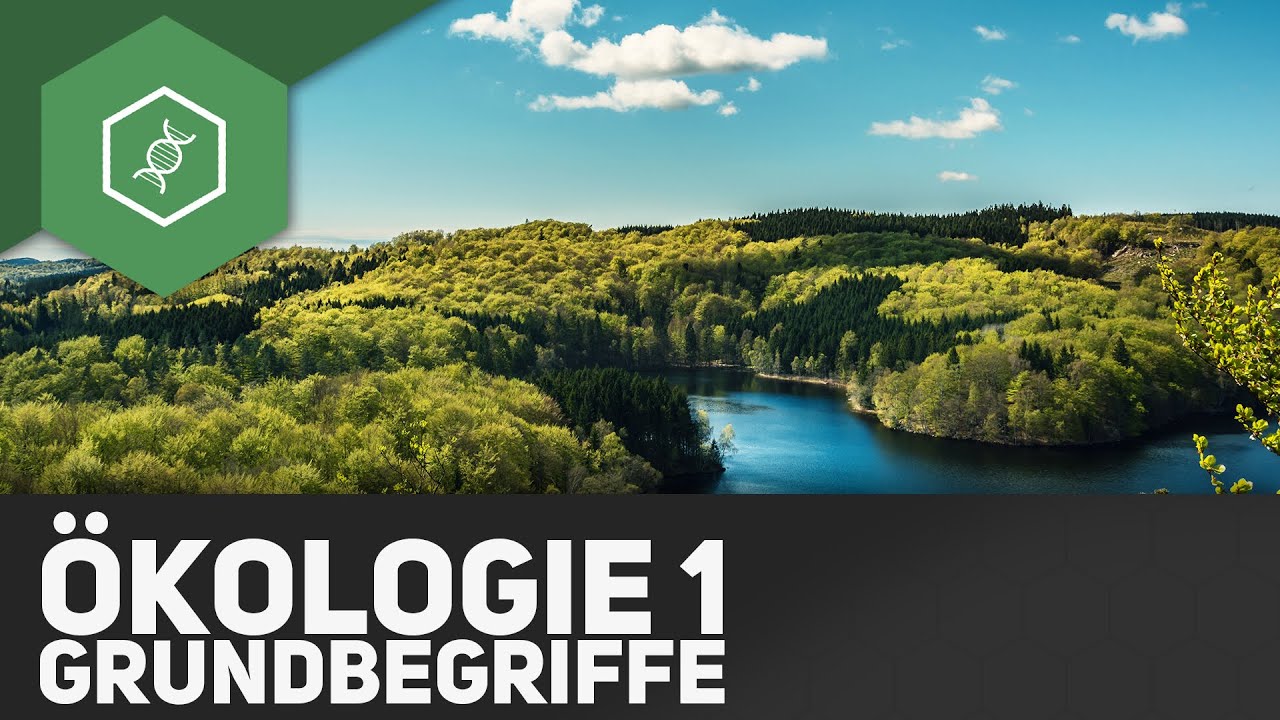 Grundbegriffe der &Ouml;kologie - &Ouml;kologie 1