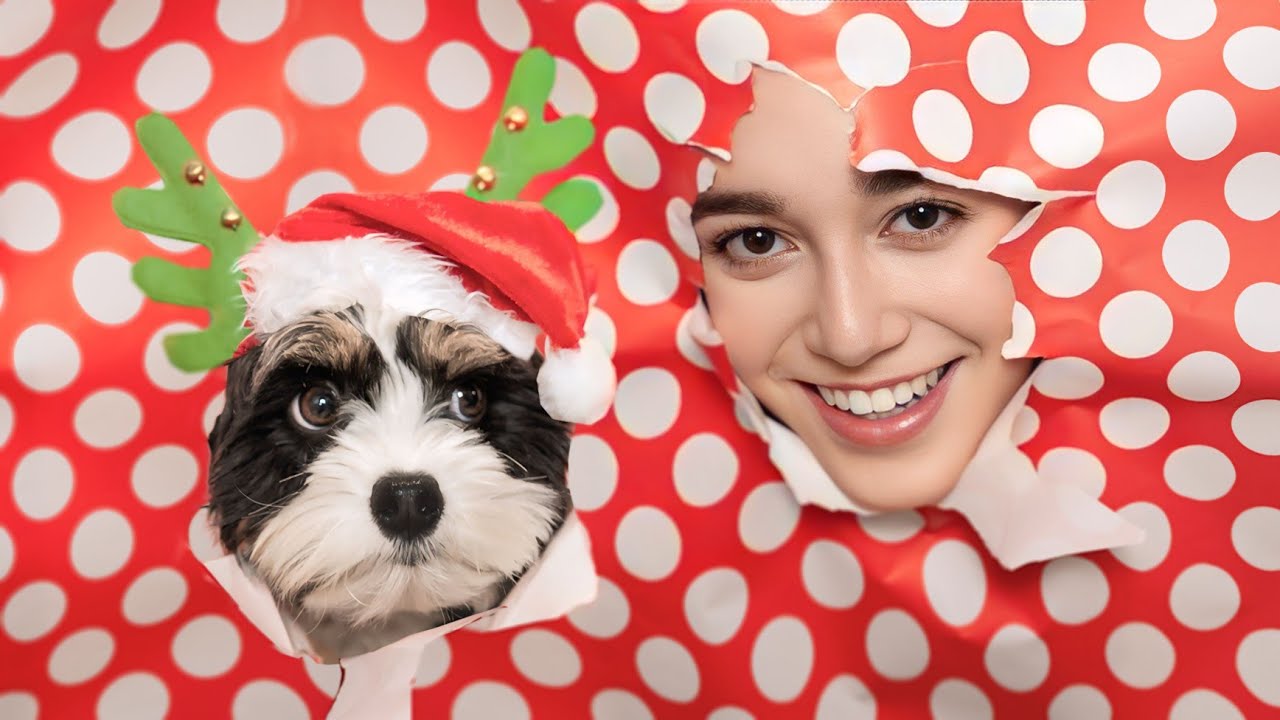 TESTAMOS UM HACK DE FOTOS DE NATAL DO TIKTOK! 📸🐶🎄
