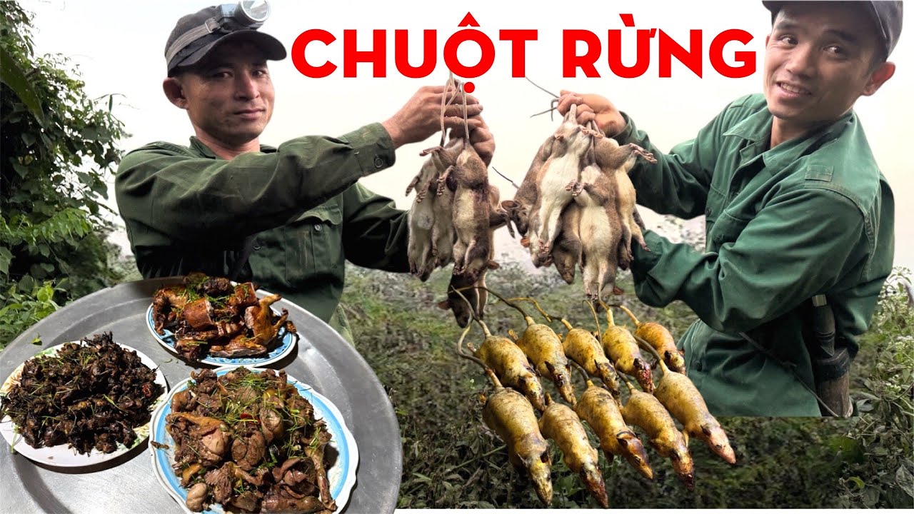 PHÁT HIỆN HÀNG NGHÌN CON DƠI TRÚ NGỤ TRONG HANG ĐÁ-TỰ THỢ RỪNG 