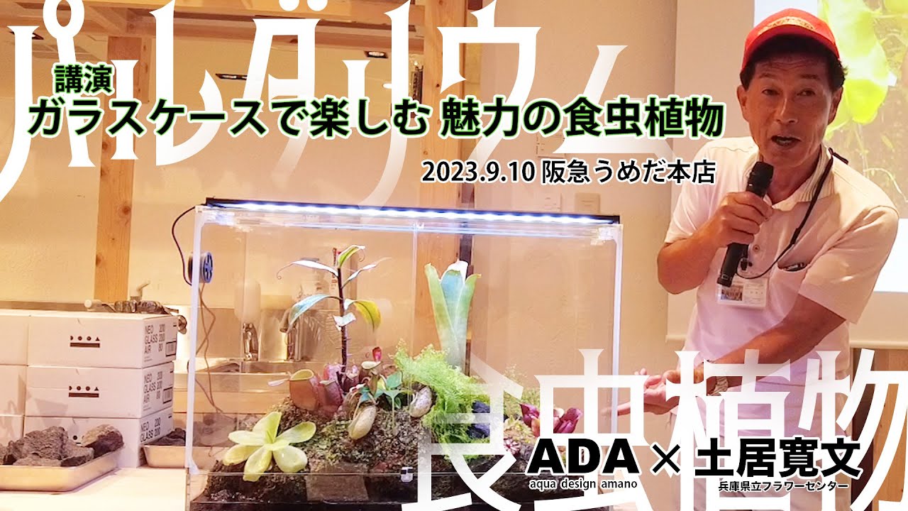【食虫植物×パルダリウム】ガラスケースで楽しむ、魅力の食虫植物 in ADA LAB UMEDA