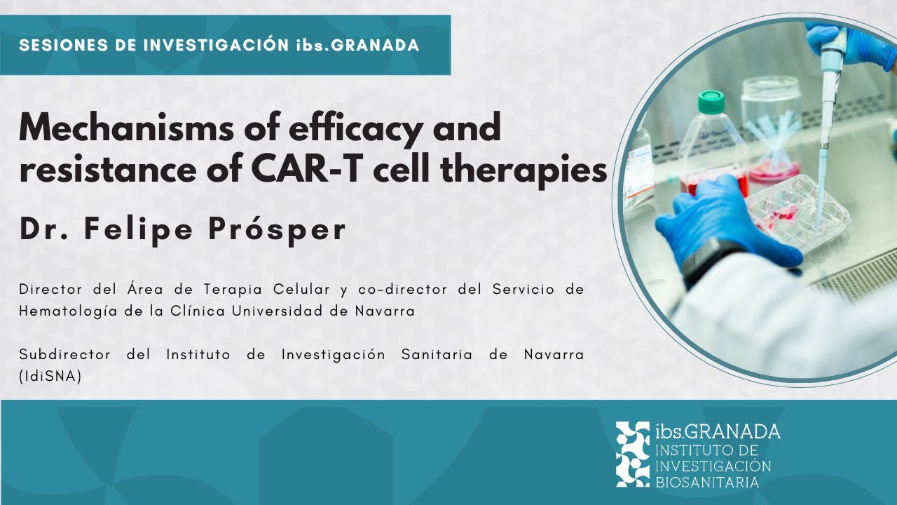 Mechanisms of efficacy and resistance of CAR-T cell therapies