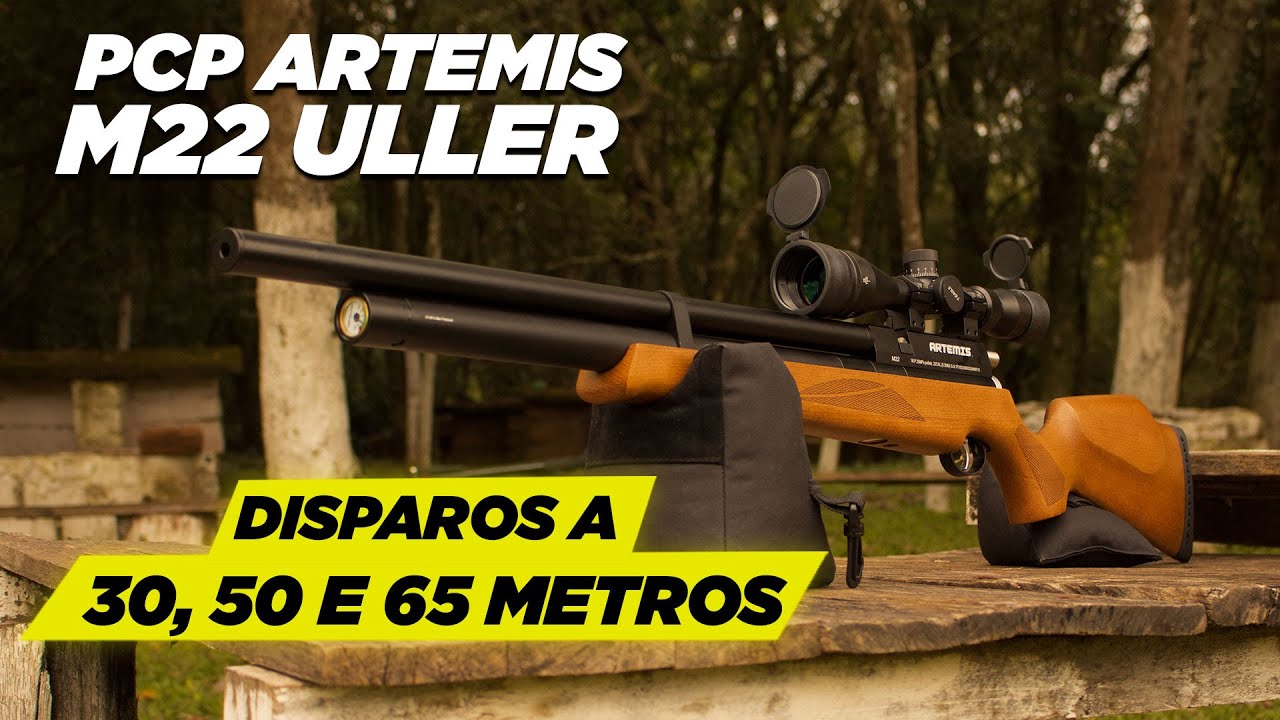 Carabina PCP Artemis M22 5.5mm REVIEW