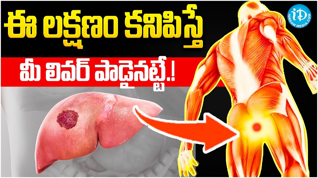10 Early Symptoms of Liver Problems | Dr Kavya Explains | Fatty Liver & Liver Damage Signs | iDream