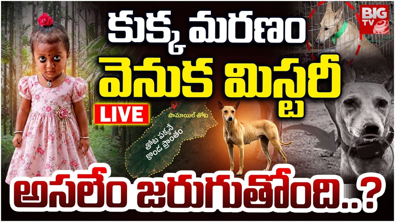 కుక్క మరణం వెనుక మిస్టరీ LIVE | SHOCKING Twist In Jahnavi Missing Case | Kakinada Tuni Girl Incident