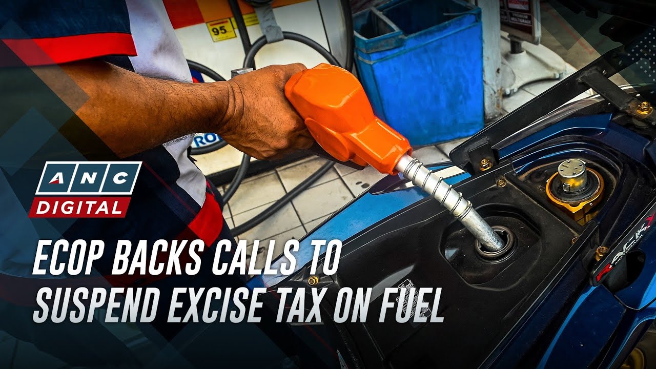 Employer group: Answer to oil crisis is to suspsend excise tax on fuel | ANC