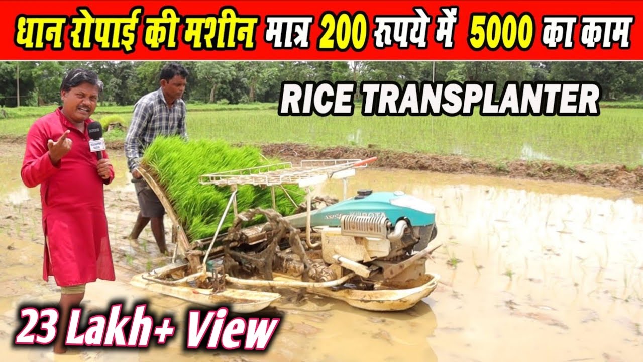 धान लगाने वाली मशीन का रिव्यू| Rice,Paddy Transplanter machine Review||Kubota Rice Transplanter