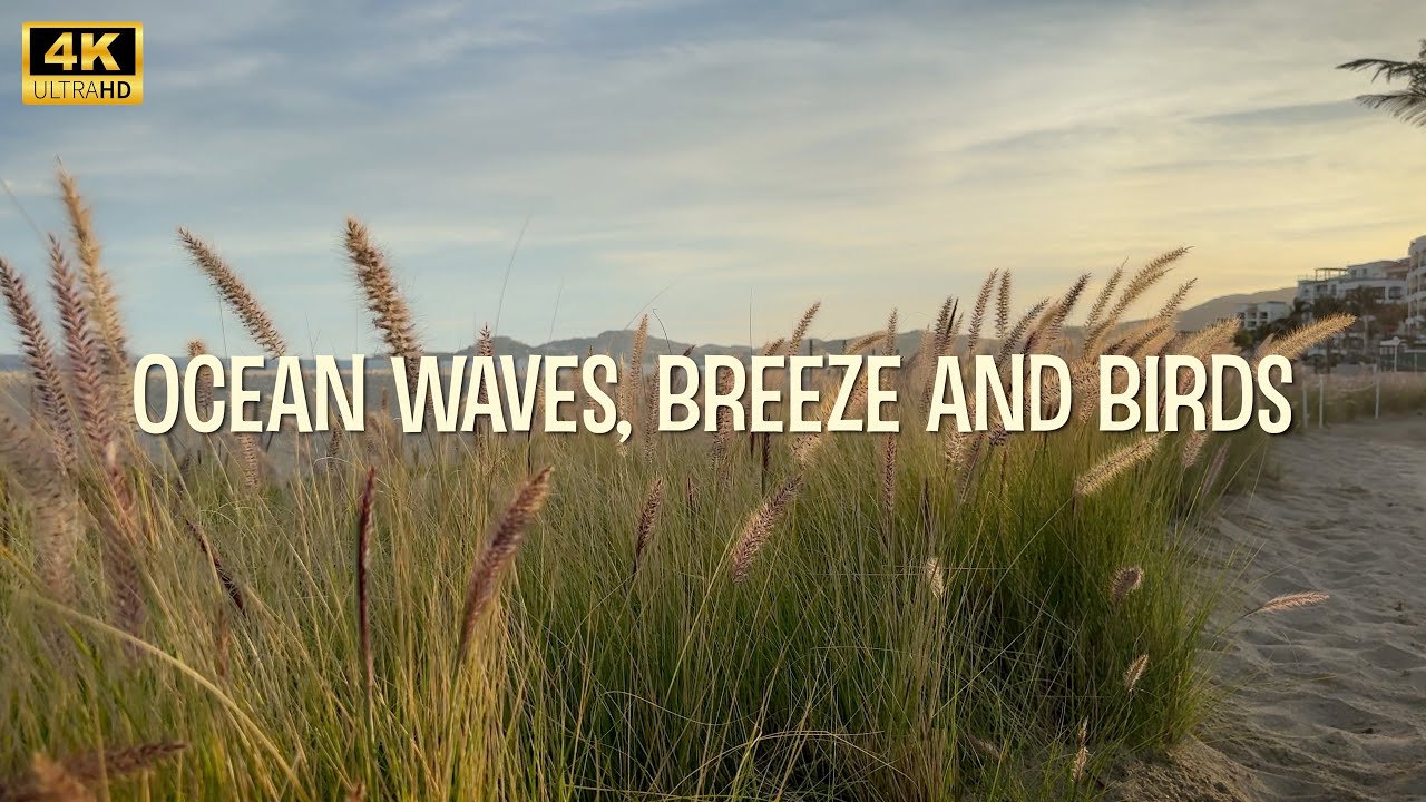 Ocean Waves, Breeze & Birds for Deep Sleep, No Ads, Black Screen, 12 Hours, Nature Sleep Serenity 4K