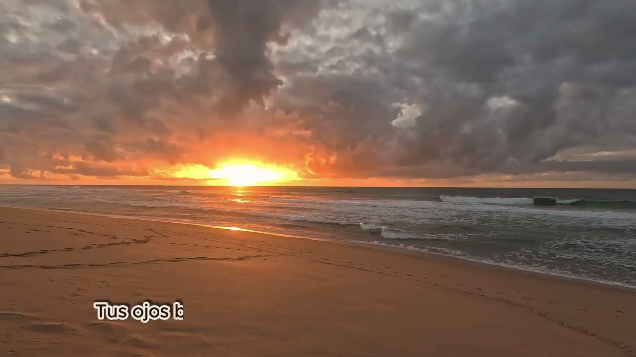Momentos Vividos | Reggae Chill Vibes 🌴🌅