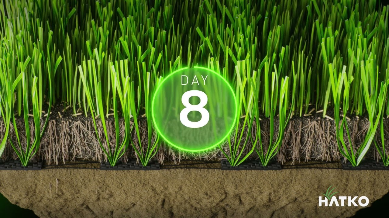 Hatko Hybridgrass System