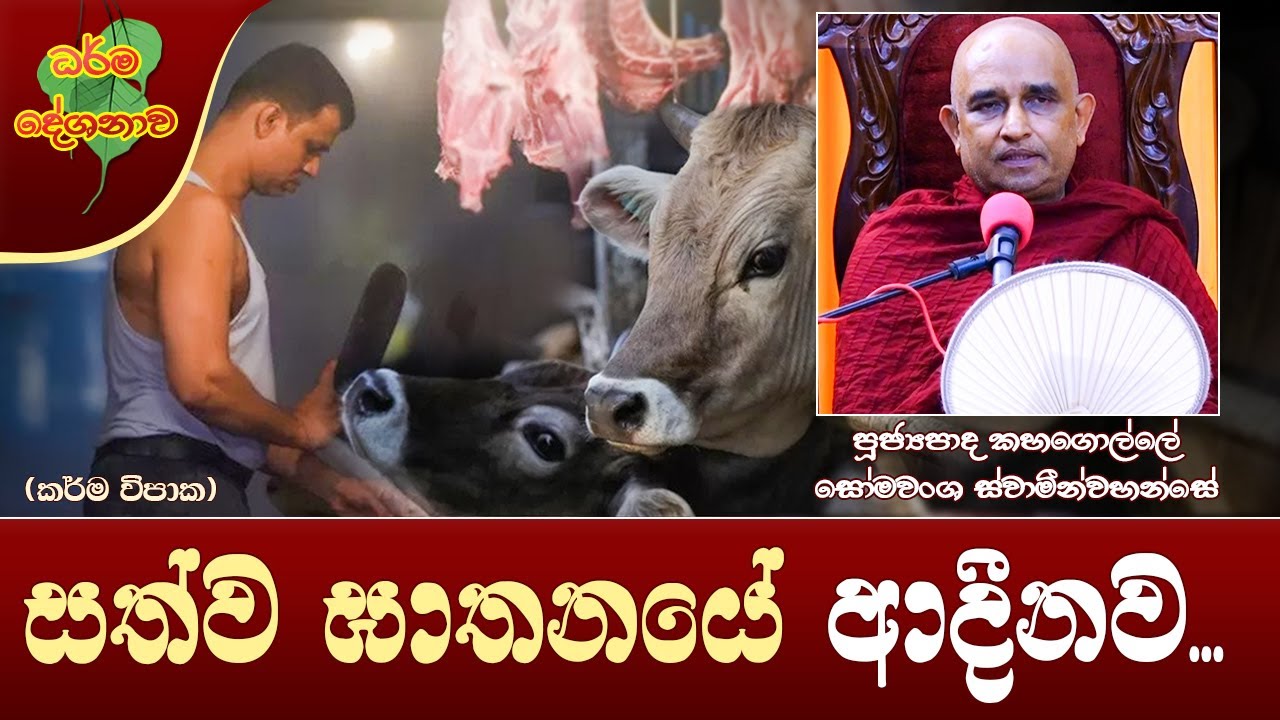 Ven Kahagolle Somawansa Thero | 2022-01-22 | 11:30 AM (සත්ව ඝාතනයේ ආදීනව...)