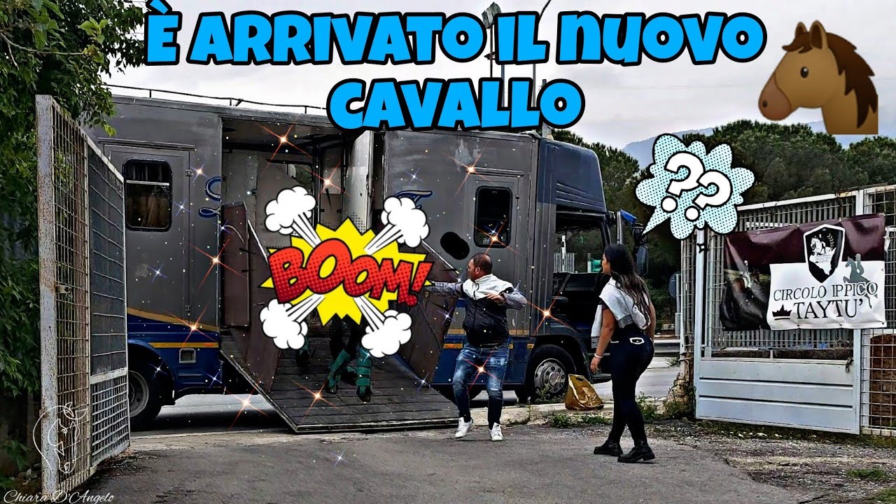 È ARRIVATO IL NUOVO CAVALLO!🤩 Chi sarà❓❓