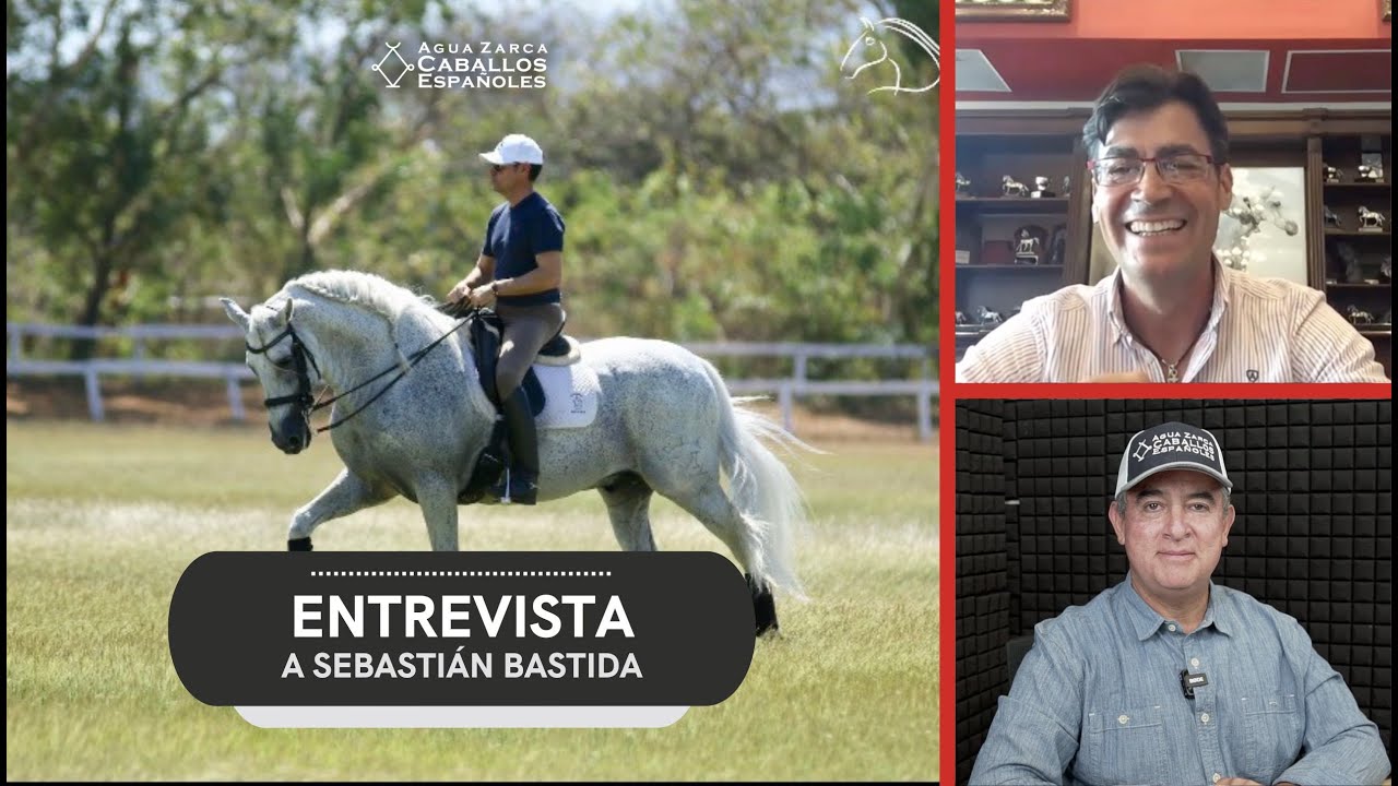 Uno de los Mejores Entrenadores de Caballos Españoles en el Mundo, Sebastián Bastida ...