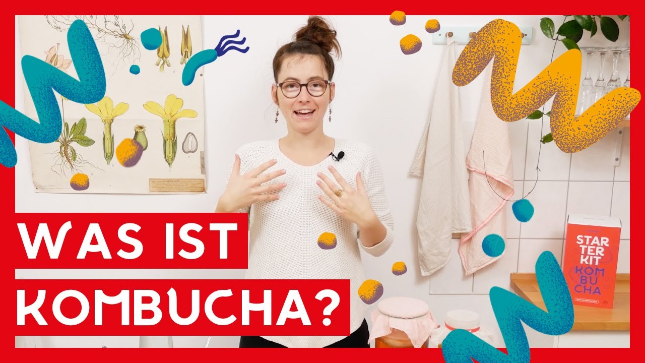 Was ist Kombucha? I Kultur, Fermentation I 🍄 Kombucha Pilz