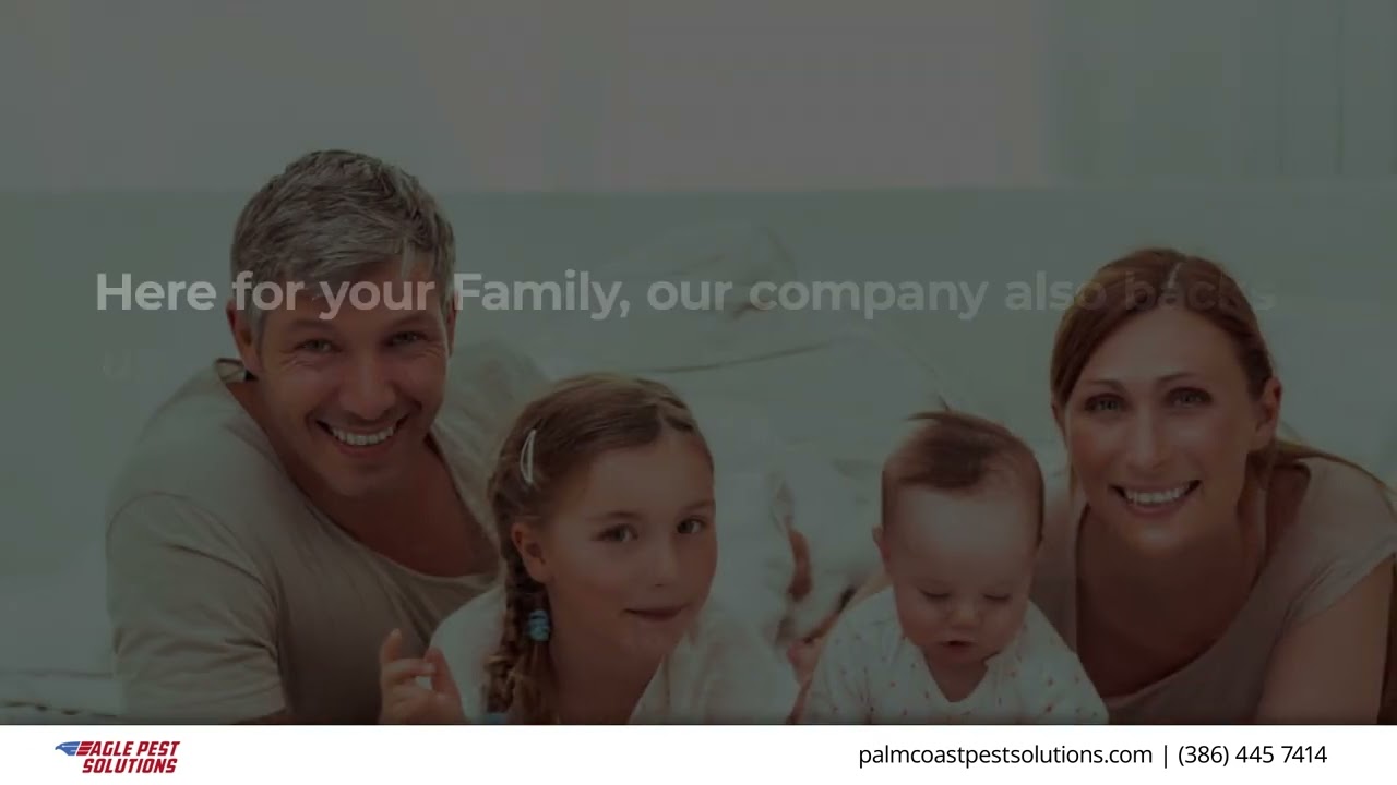 Eagle Pest Solutions Palm Coast Florida 32137