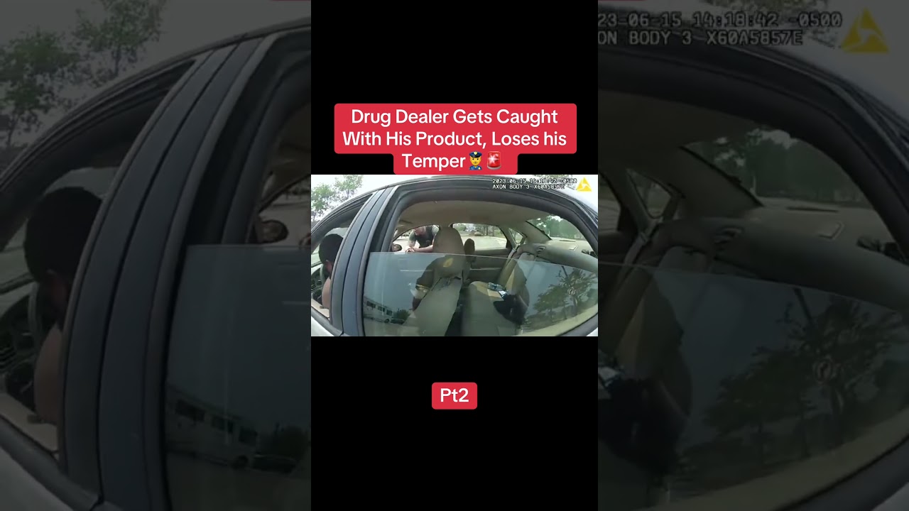 Suspicion to Seizure: Armed Drug Stop Leads to Gun Recovery After K9 Alert 👮‍♂️🚨  