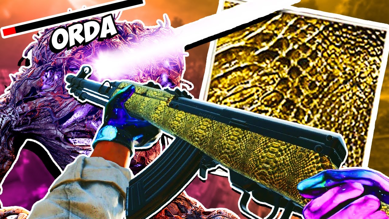 The Type 63 is UNDER RATED vs ORDA! (Cold War Zombies Type 63 Gold Viper)