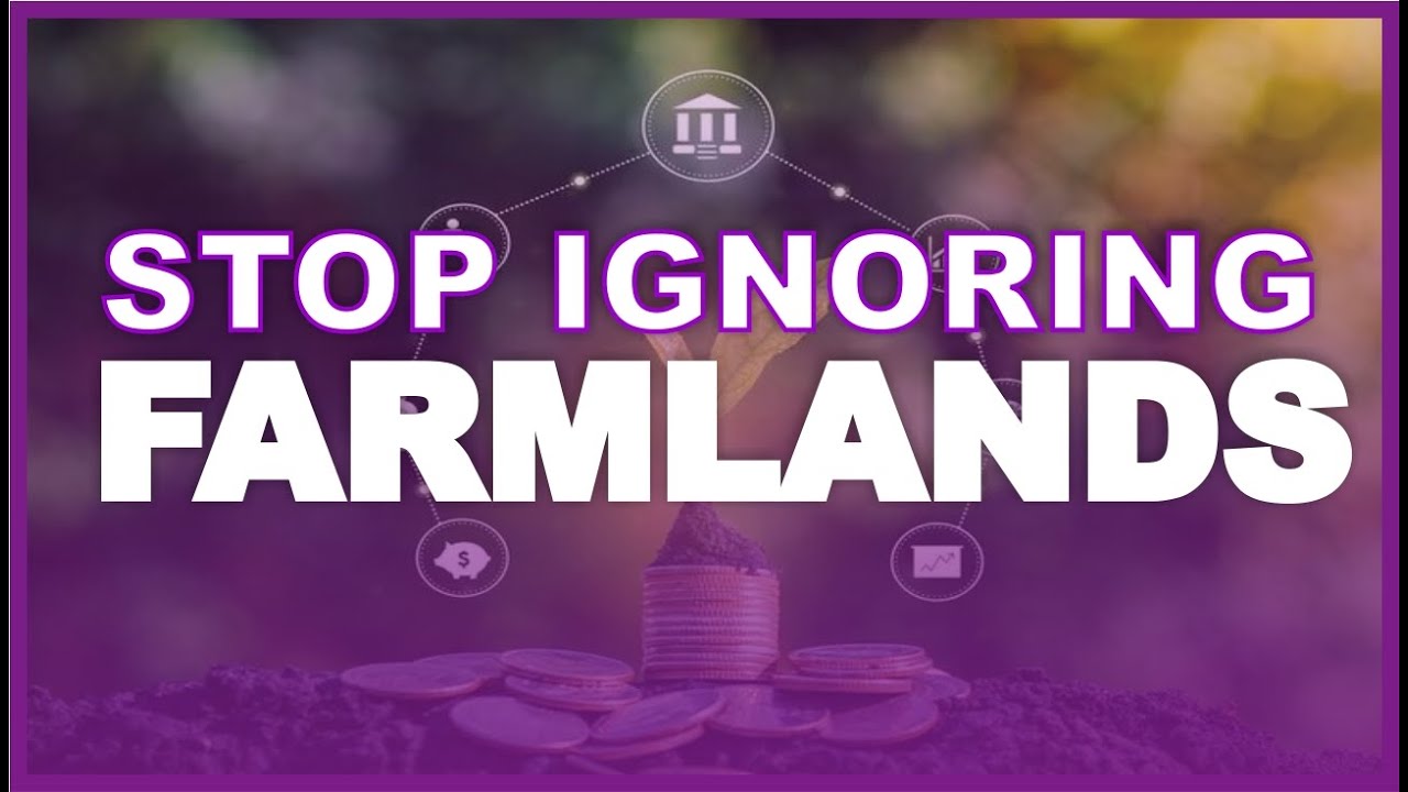 Why Farmland Will Make Millionaires in Nigeria (2025 Explained) | Farmland For Sale