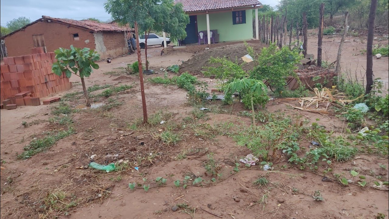 Mostrando como amanheceu aqui no nosso sertão muita chuva