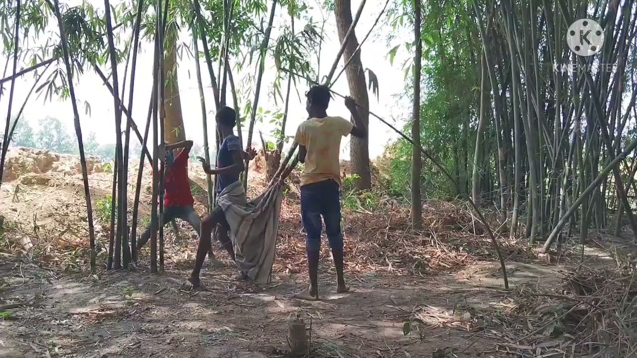 2021 New Funny Video| King Shahadat| Viral Video