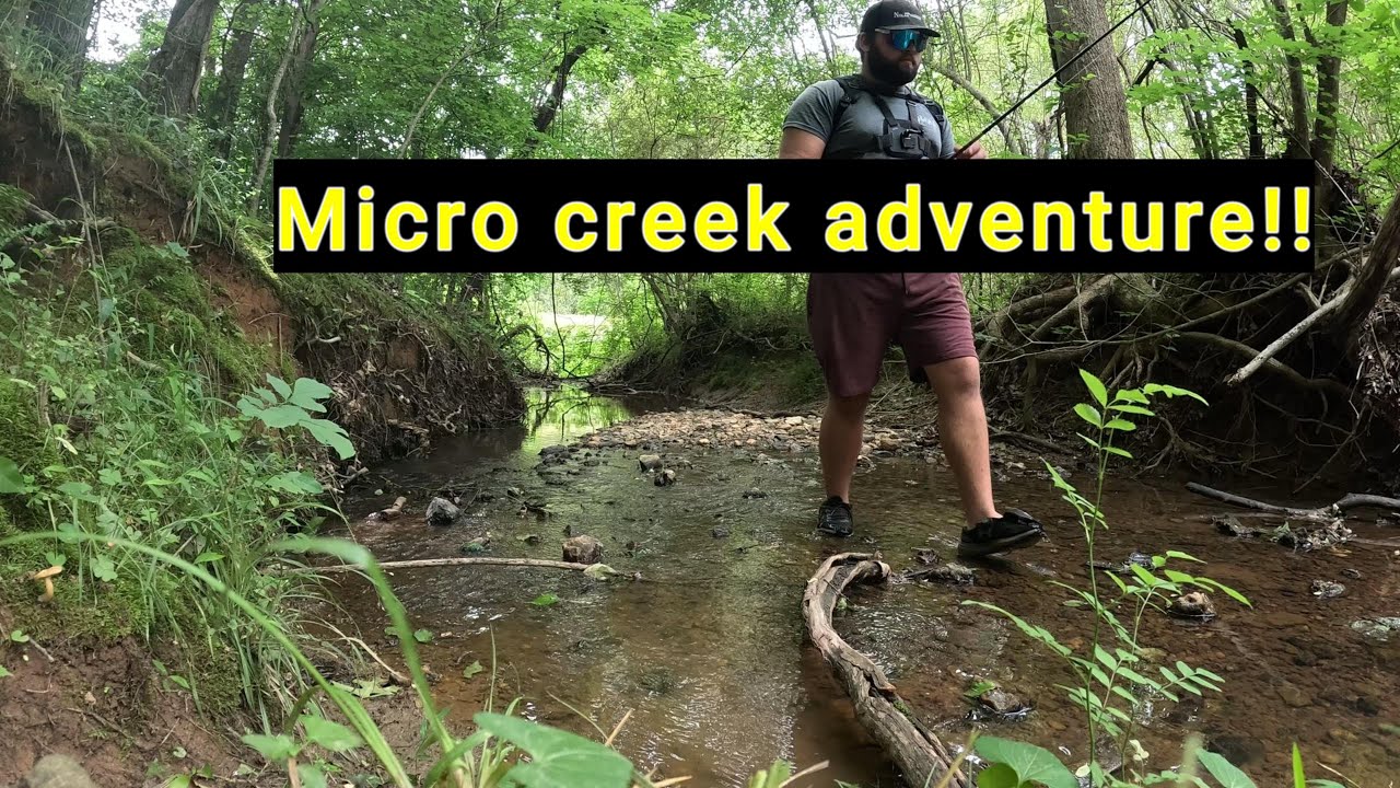A true micro creek adventure!!