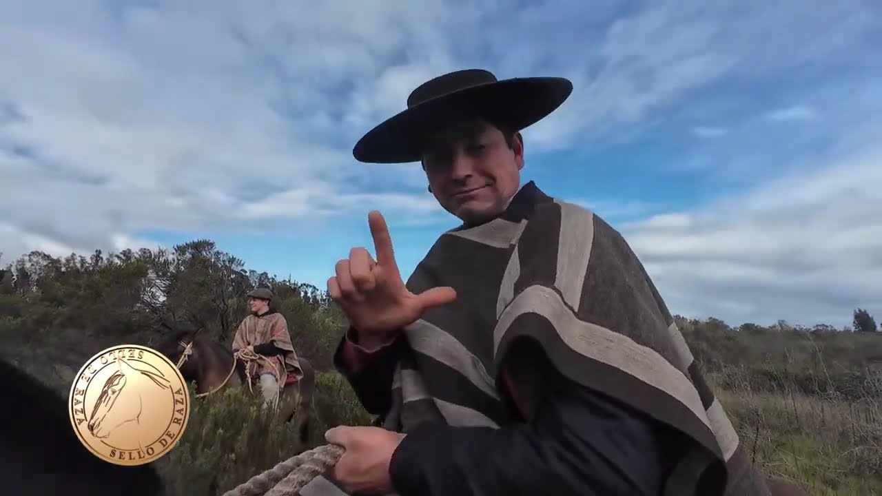 Cabalgata Tricao: Más de 400 jinetes celebraron tradición huasa