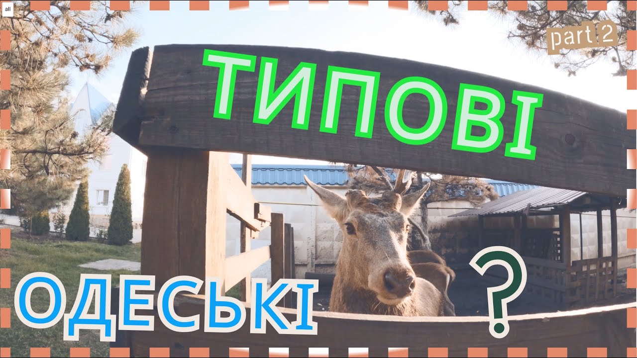 Замість голосів трембіт яких чутно в лісі