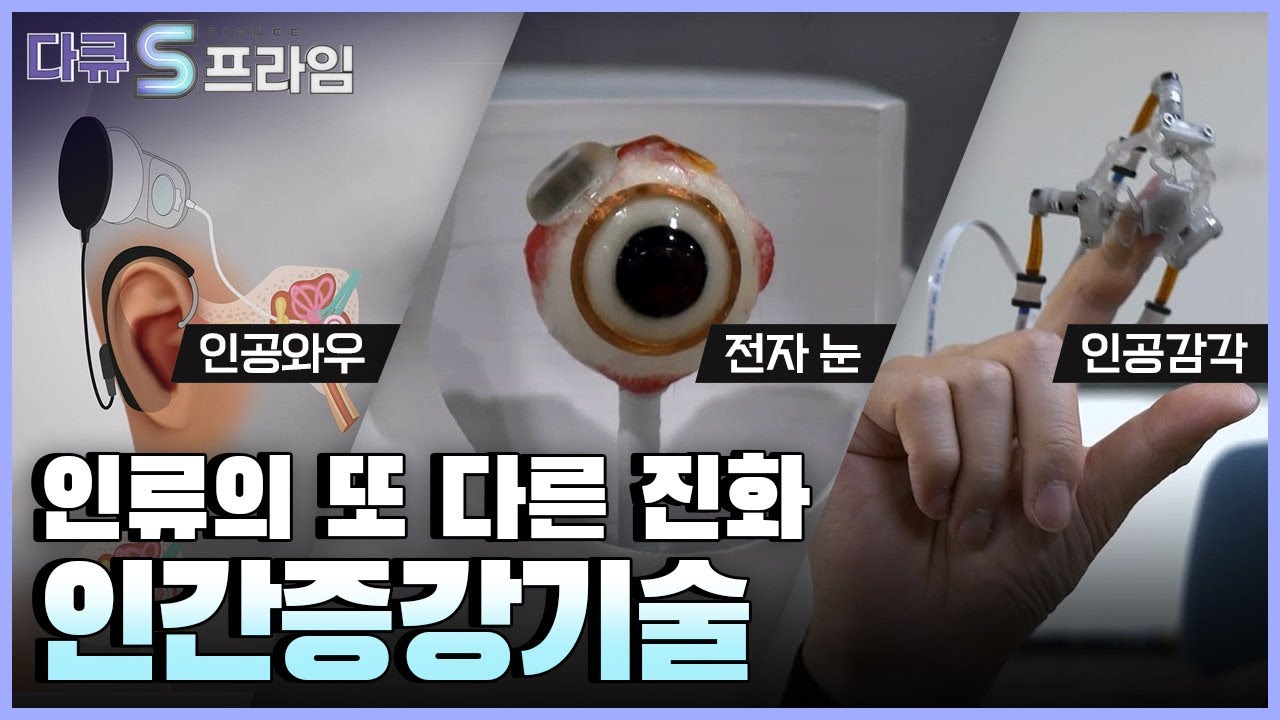 디지털 신호가 우리의 감각을 완전히 대체한다 .. 우리의 삶을 바꿔줄 인간증강기술 | 다큐it다큐