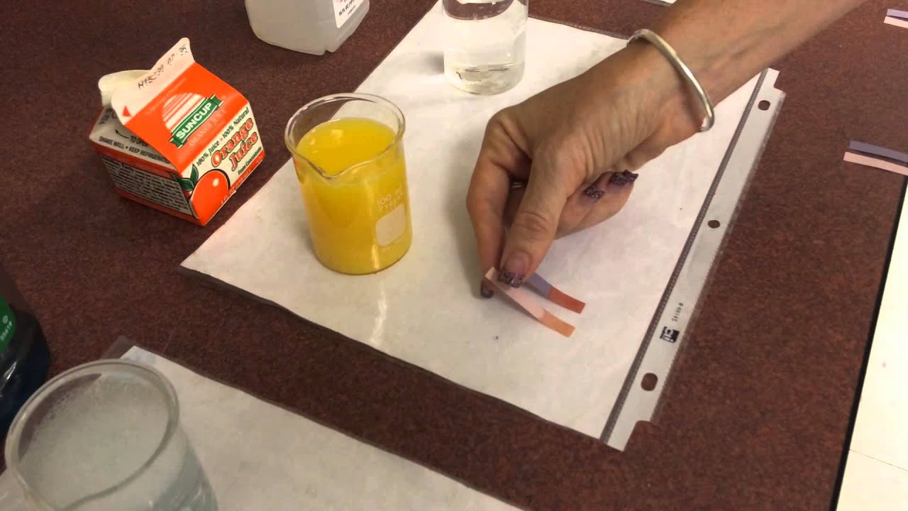 Video lab: Litmus Testing Common Chemicals