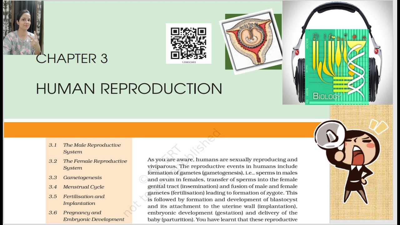 Ch 3 Human Reproduction Class 12 NCERT Biology ( Reading Only) | NCERT Biology Class 12 Audio Books