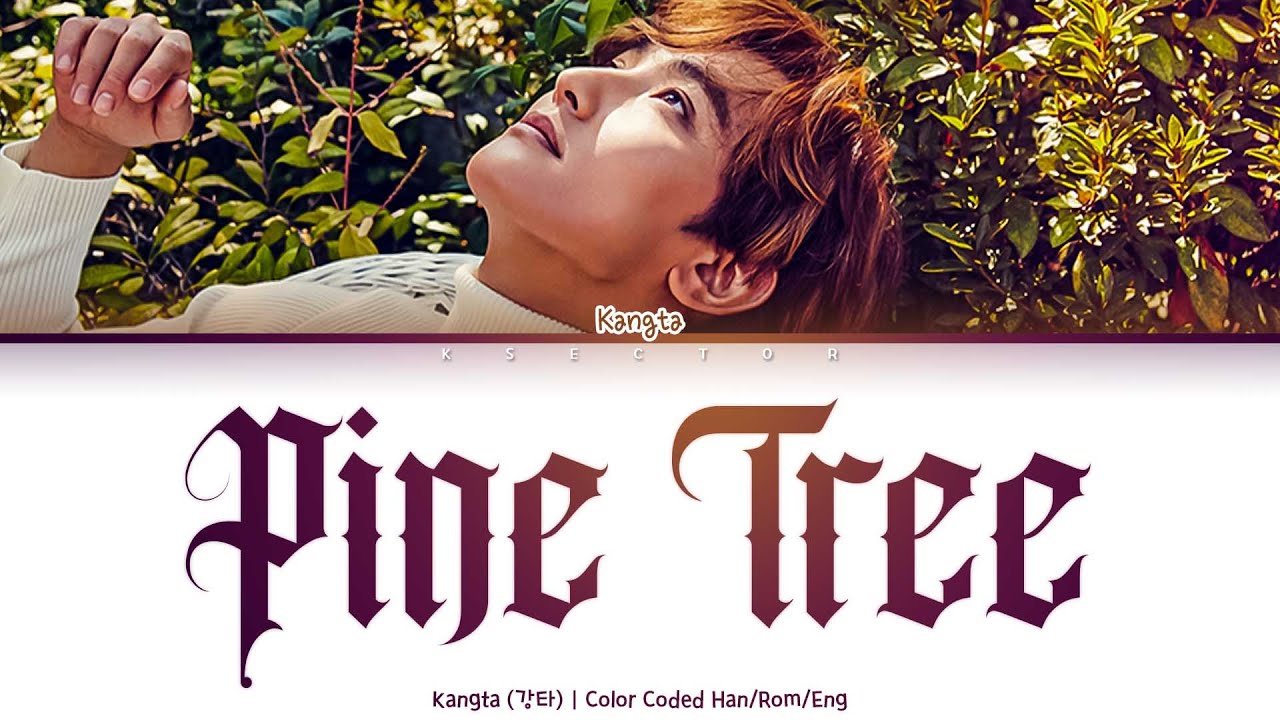 KANGTA (강타) - Pine Tree (상록수) [Color Coded Lyrics Han/Rom/Eng]