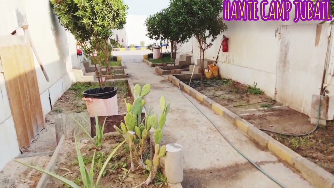 HAMTE CAMP JUBAIL #HAMTE #CAMP #JUBAIL
